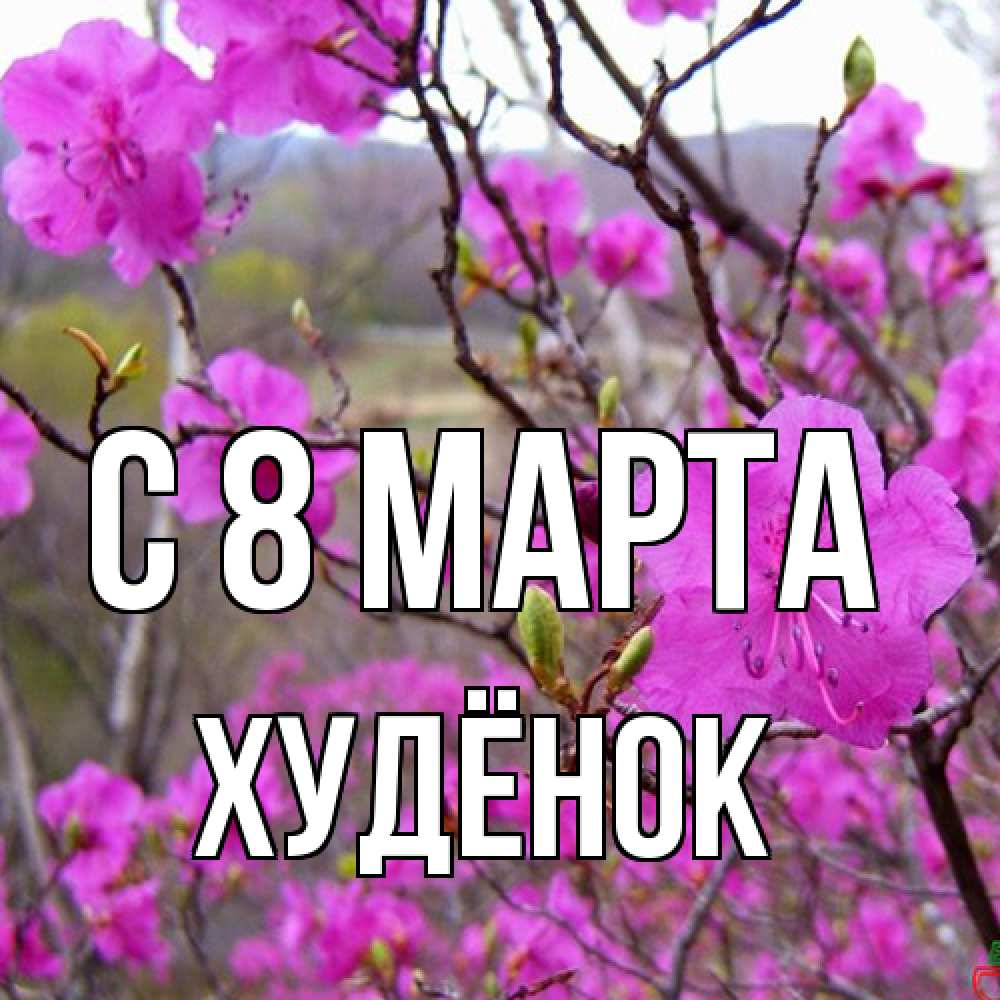 Открытка на каждый день с именем, худёнок C 8 МАРТА международный женский день Прикольная открытка с пожеланием онлайн скачать бесплатно 