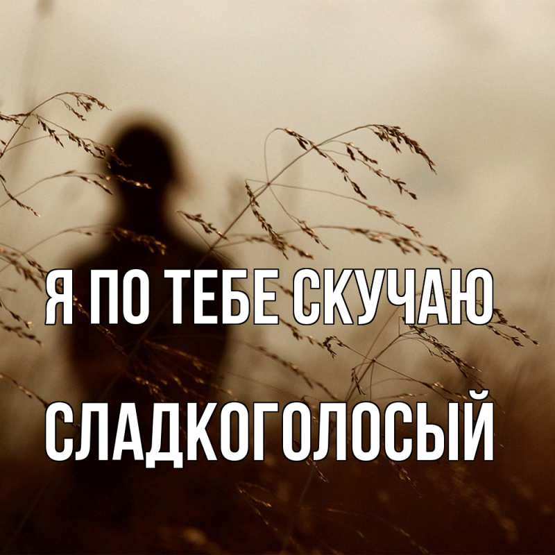 Картинка Я по тебе скучаю, Сладкоголосый