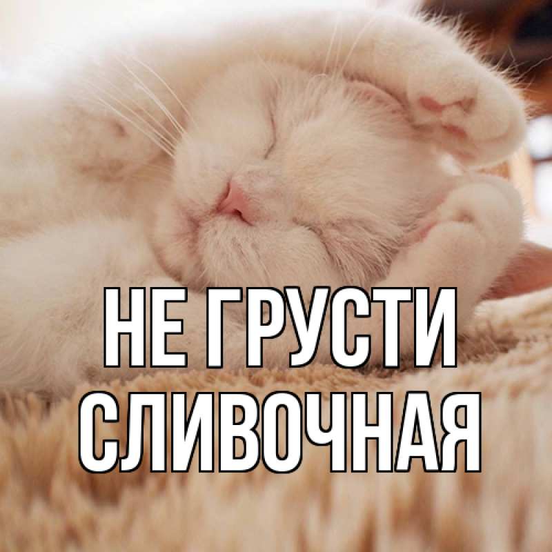 Картинка Не грусти, Сливочная