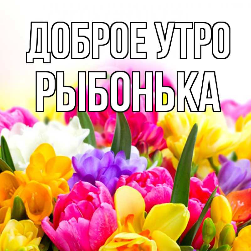 Картинка Доброе утро, Рыбонька