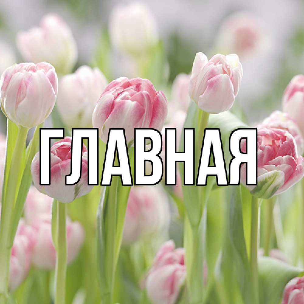 Открытка на каждый день с именем, Анна Главная цветы Прикольная открытка с пожеланием онлайн скачать бесплатно 