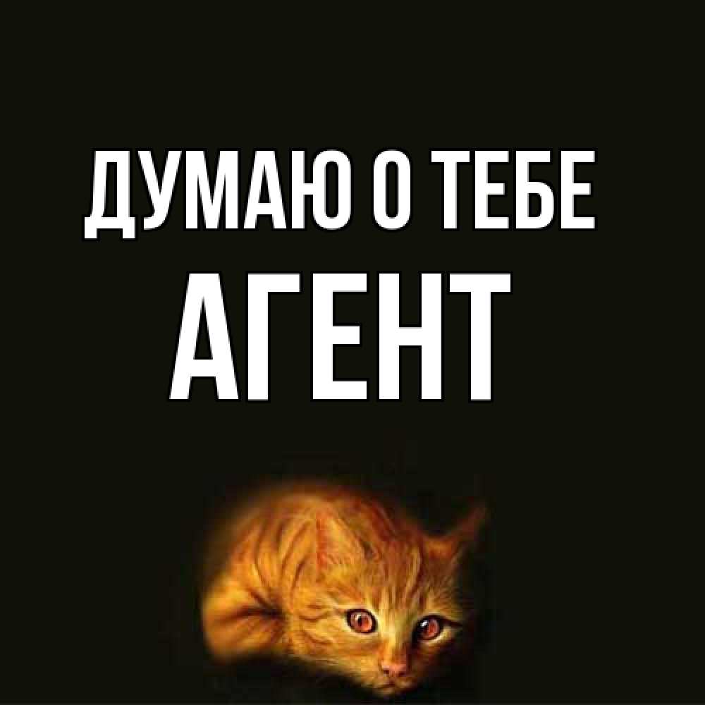 Открытка на каждый день с именем, Агент Думаю о тебе рыжий Прикольная открытка с пожеланием онлайн скачать бесплатно 