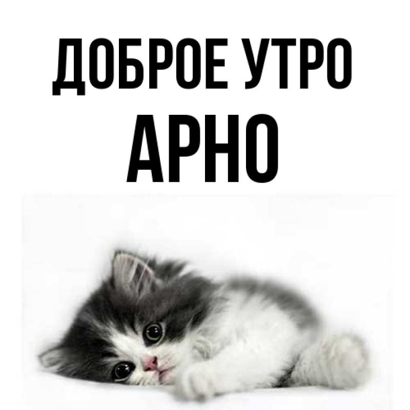 Картинка Доброе утро, Арно