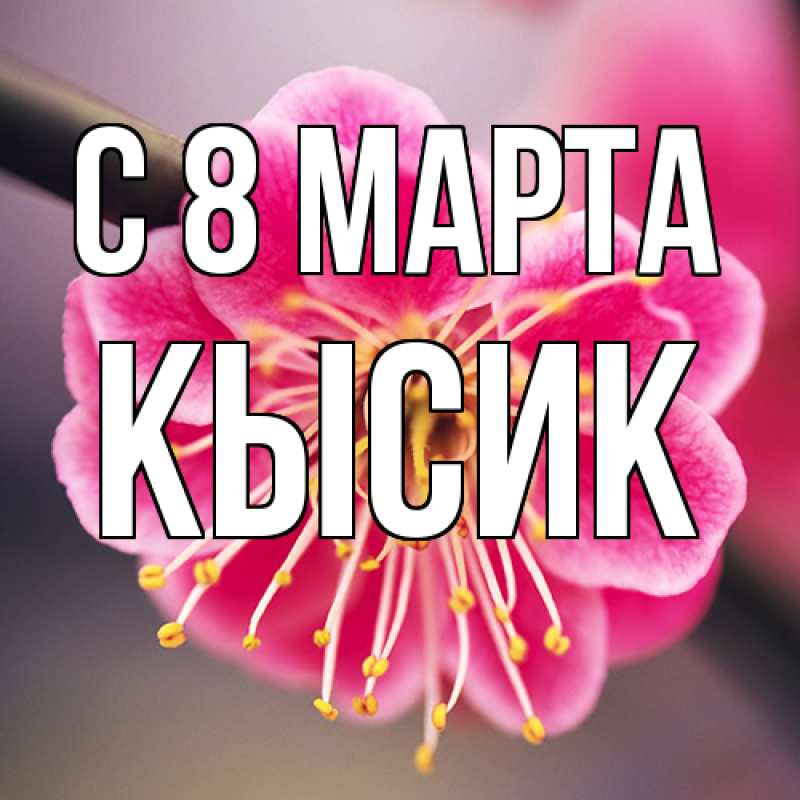 Картинка C 8 МАРТА, Кысик