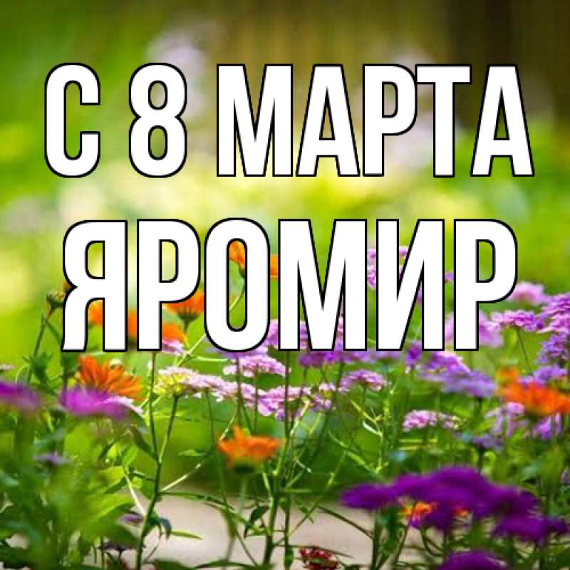 Картинка C 8 МАРТА, Яромир