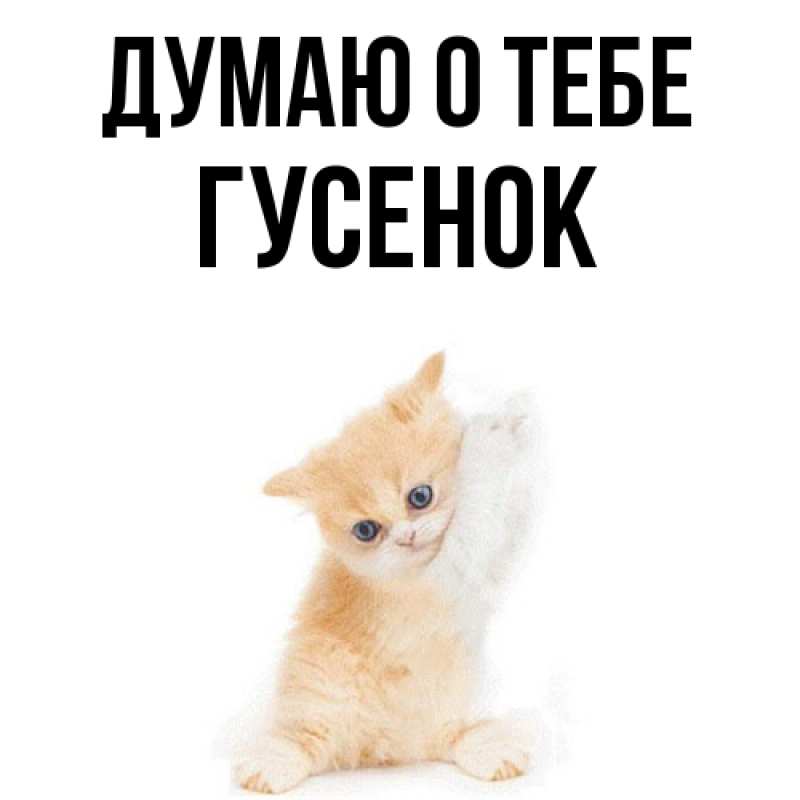 Картинка Думаю о тебе, гусенок