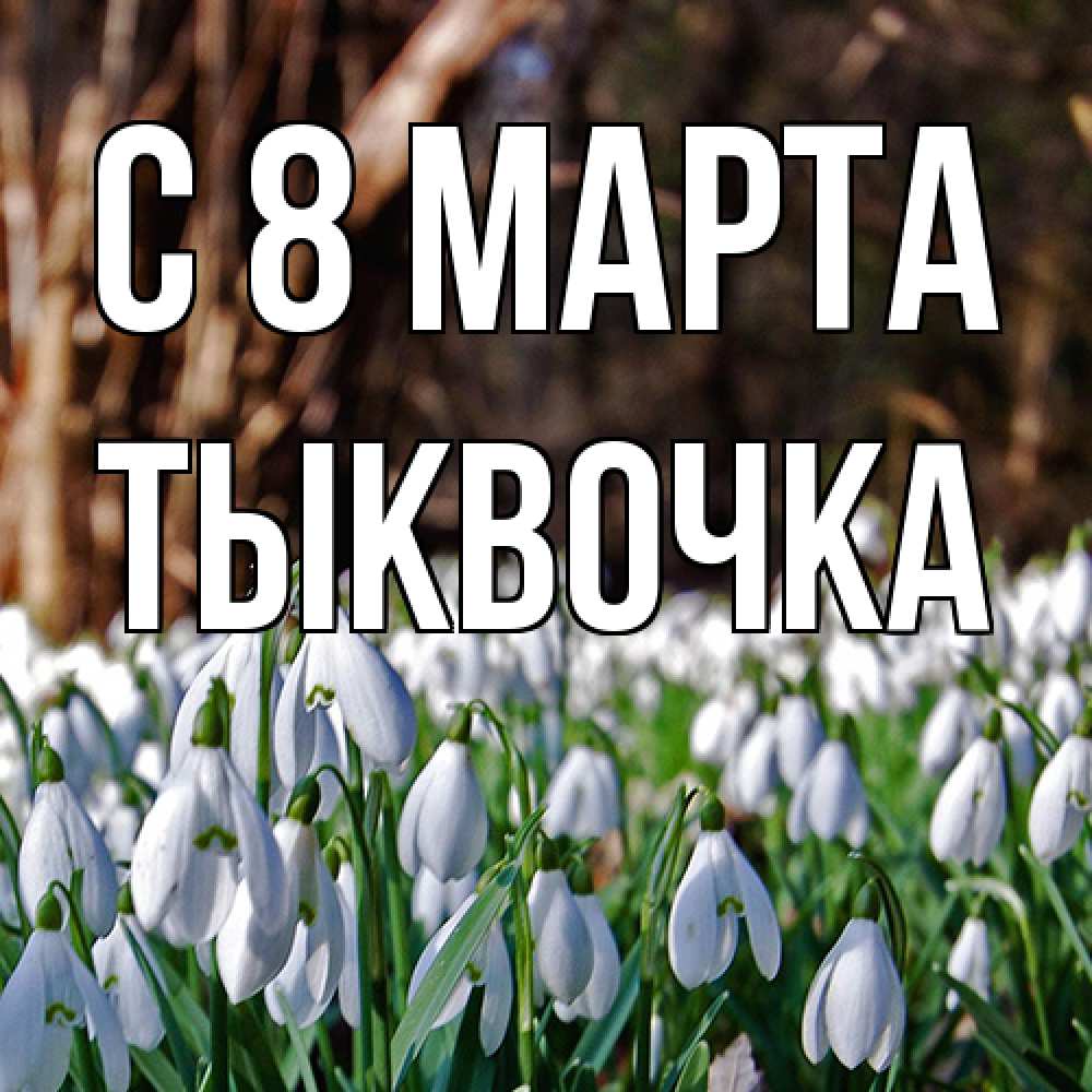 Открытка на каждый день с именем, тыквочка C 8 МАРТА с подснежниками 1 Прикольная открытка с пожеланием онлайн скачать бесплатно 
