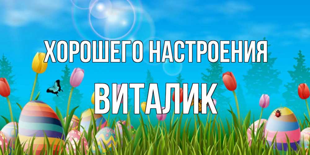 Открытка на каждый день с именем, Виталик Хорошего настроения небо и тюльпаны с бабочкой Прикольная открытка с пожеланием онлайн скачать бесплатно 