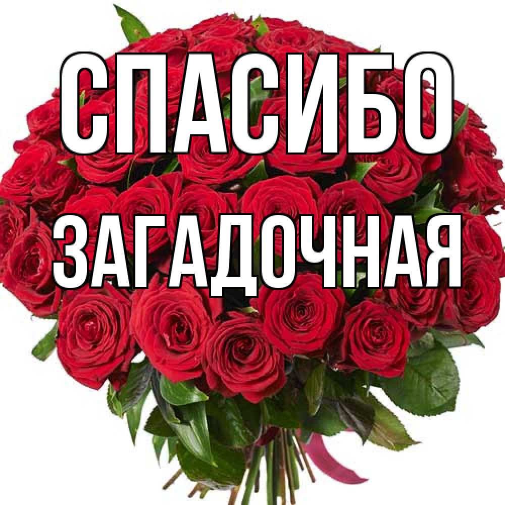 Открытка на каждый день с именем, загадочная Спасибо букет красных роз Прикольная открытка с пожеланием онлайн скачать бесплатно 