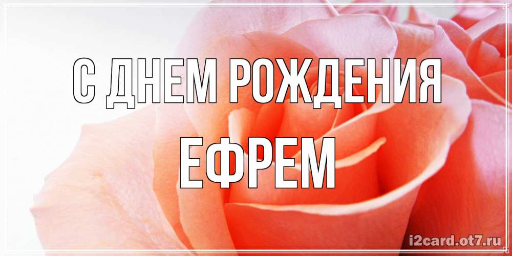 Открытка на каждый день с именем, Ефрем С днем рождения розы для поздравления с днем рождения Прикольная открытка с пожеланием онлайн скачать бесплатно 