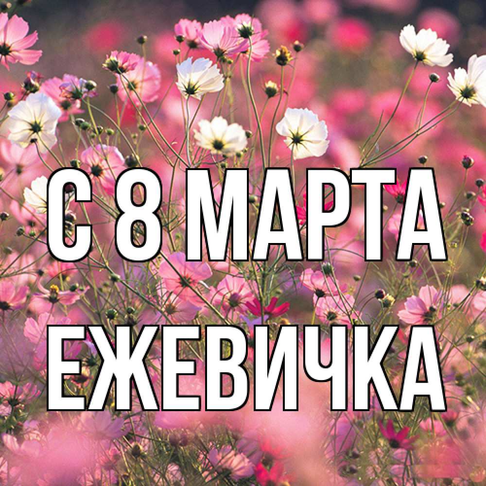 Открытка на каждый день с именем, ежевичка C 8 МАРТА красиво 1 Прикольная открытка с пожеланием онлайн скачать бесплатно 