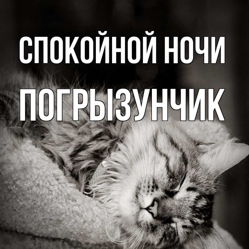 Картинка Спокойной ночи, Погрызунчик