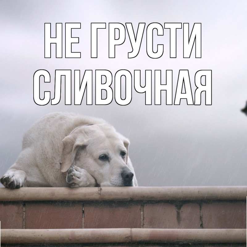 Картинка Не грусти, Сливочная