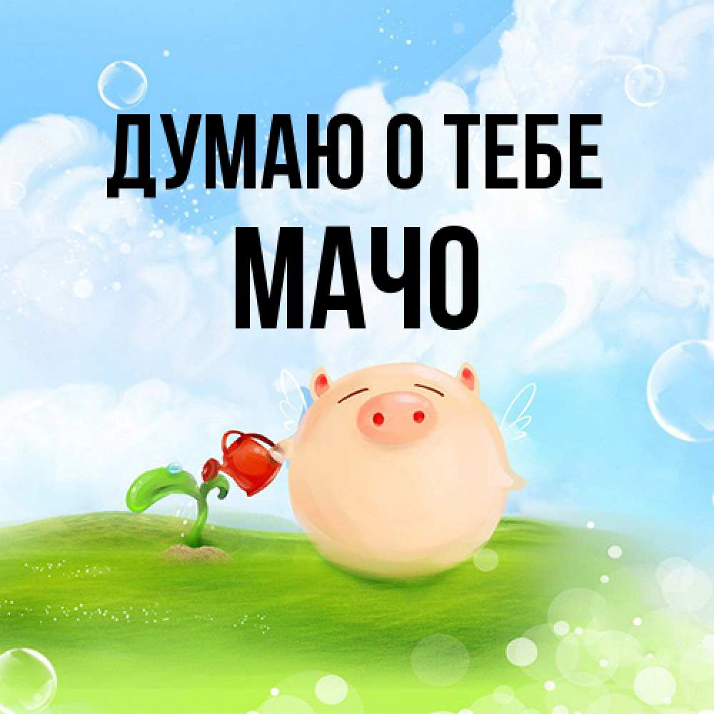 Открытка на каждый день с именем, Мачо Думаю о тебе позитивная свинюшка Прикольная открытка с пожеланием онлайн скачать бесплатно 