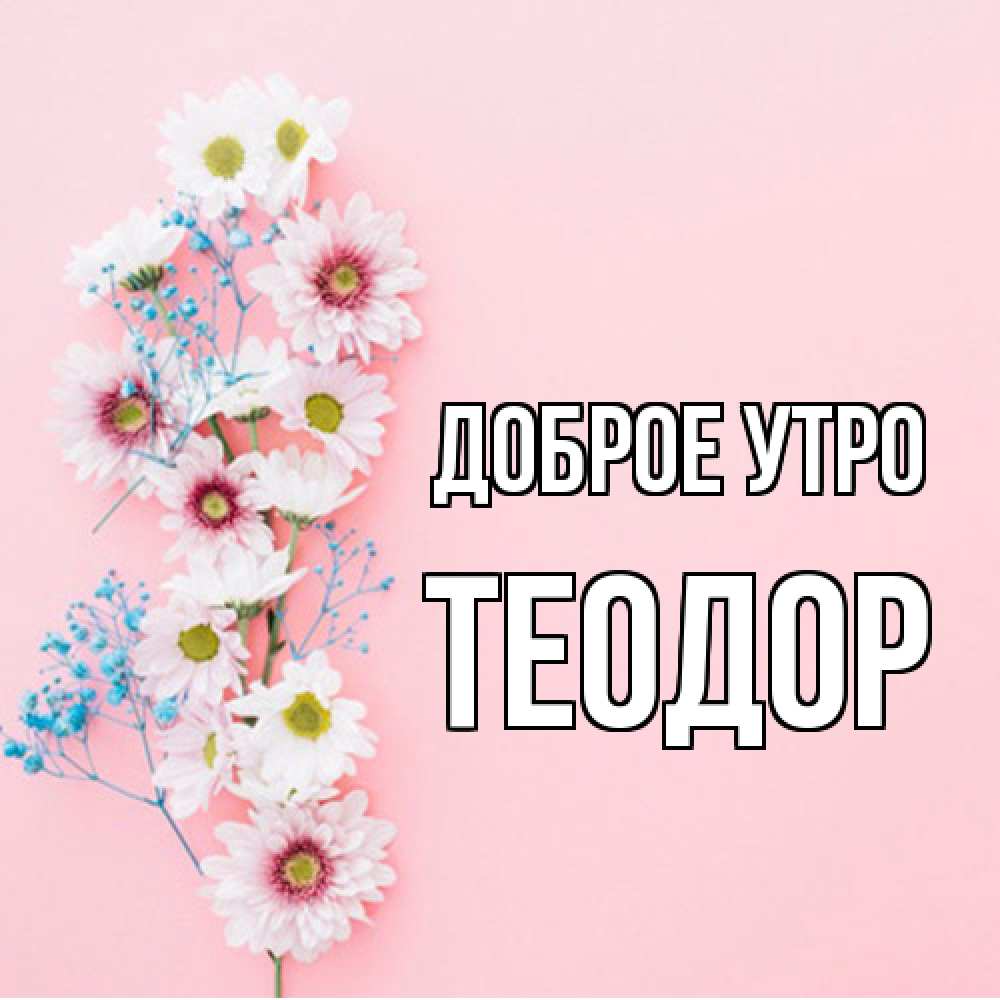 Открытка на каждый день с именем, Теодор Доброе утро цветы с подписью Прикольная открытка с пожеланием онлайн скачать бесплатно 