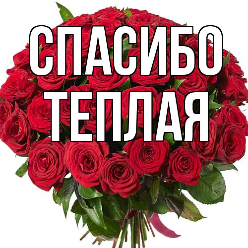 Открытка на каждый день с именем, теплая Спасибо букет красных роз Прикольная открытка с пожеланием онлайн скачать бесплатно 