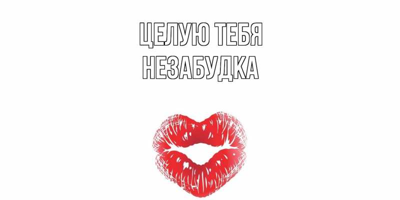 Картинка Целую тебя, Незабудка