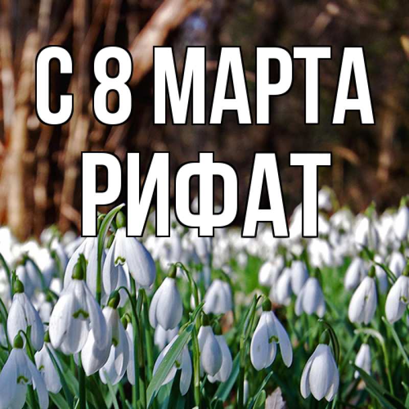 Картинка C 8 МАРТА, Рифат