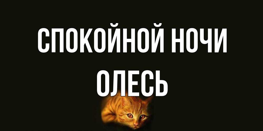 Открытка на каждый день с именем, Олесь Спокойной ночи кот Прикольная открытка с пожеланием онлайн скачать бесплатно 