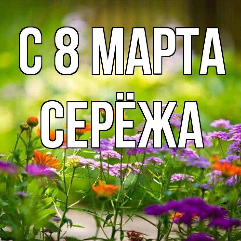 Открытка на каждый день с именем, Серёжа C 8 МАРТА цветы Прикольная открытка с пожеланием онлайн скачать бесплатно 