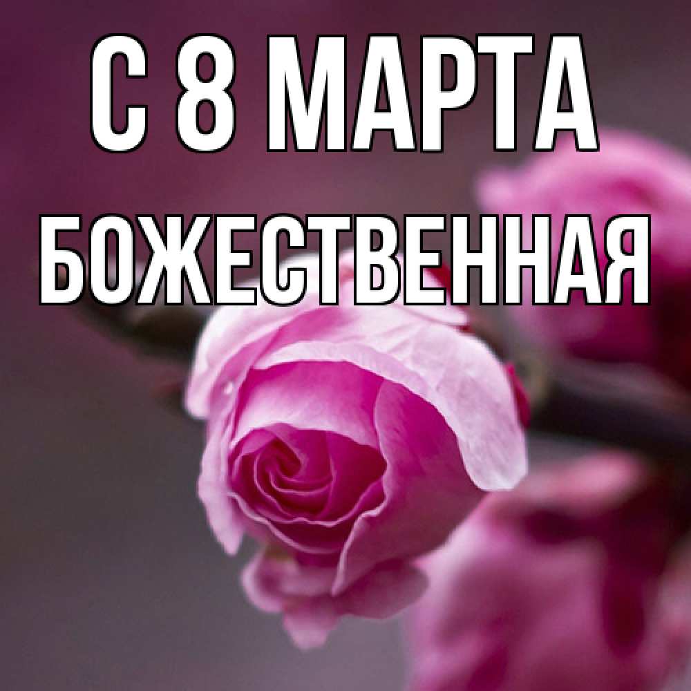 Открытка на каждый день с именем, божественная C 8 МАРТА весна Прикольная открытка с пожеланием онлайн скачать бесплатно 