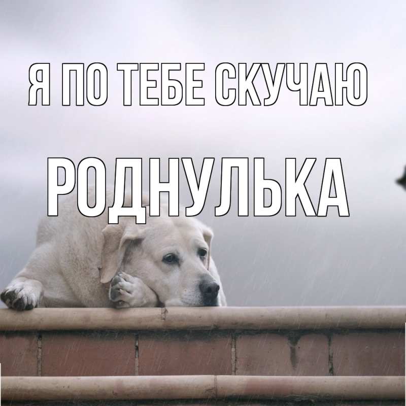 Картинка Я по тебе скучаю, Роднулька