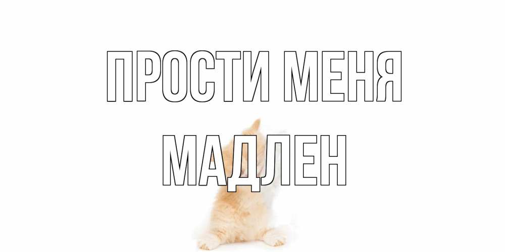 Открытка на каждый день с именем, Мадлен Прости меня кот Прикольная открытка с пожеланием онлайн скачать бесплатно 