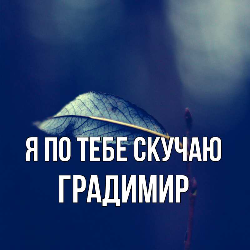 Картинка Я по тебе скучаю, Градимир