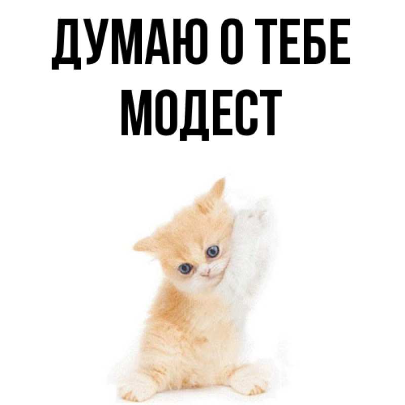 Картинка Думаю о тебе, Модест