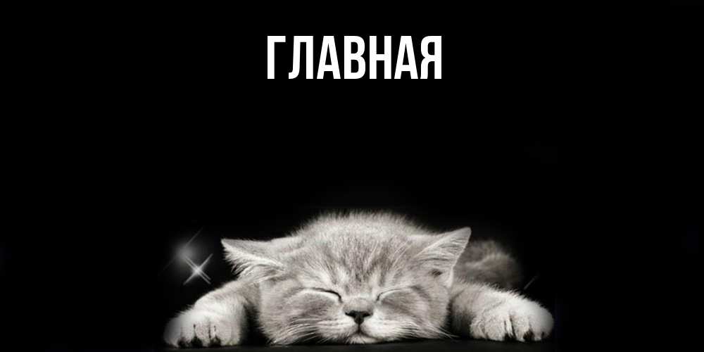 Открытка на каждый день с именем, Анна Главная спящий котик Прикольная открытка с пожеланием онлайн скачать бесплатно 