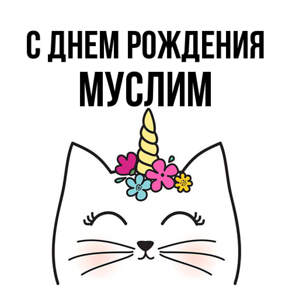 Открытка на каждый день с именем, Муслим С днем рождения милый кот с одним рожком Прикольная открытка с пожеланием онлайн скачать бесплатно 
