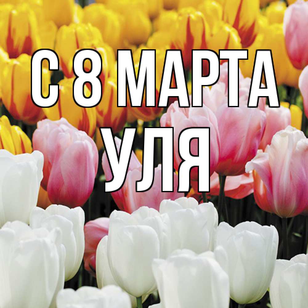 Открытка на каждый день с именем, Уля C 8 МАРТА разноцветные цветы Прикольная открытка с пожеланием онлайн скачать бесплатно 