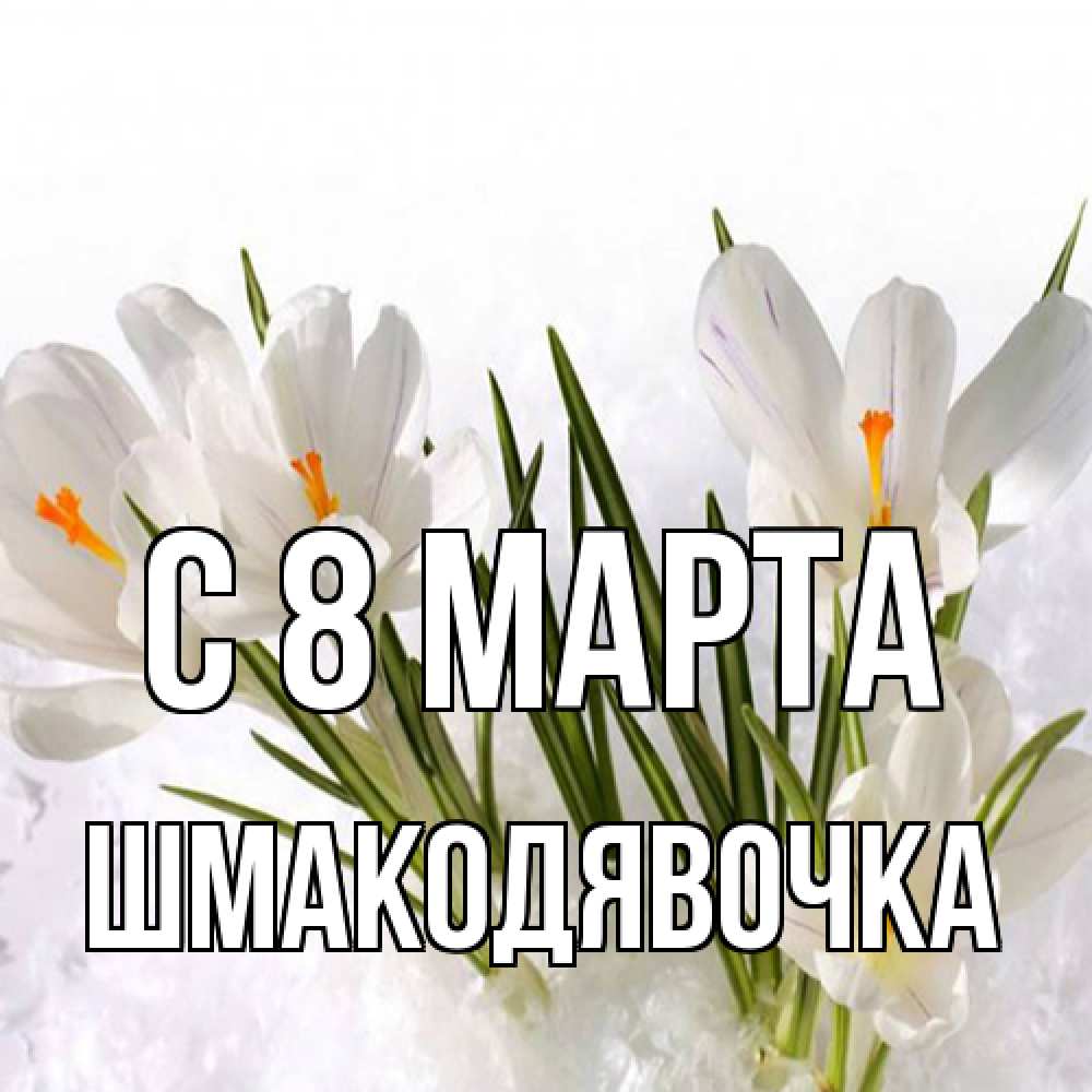 Открытка на каждый день с именем, шмакодявочка C 8 МАРТА под снегом Прикольная открытка с пожеланием онлайн скачать бесплатно 