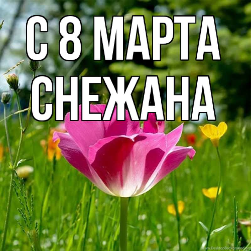 Картинка C 8 МАРТА, Снежана