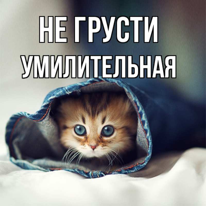Картинка Не грусти, умилительная