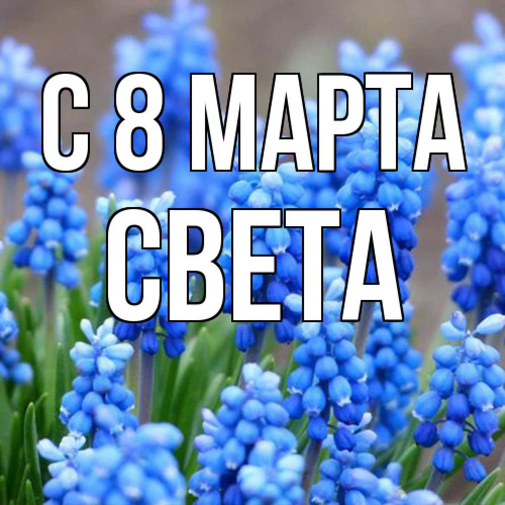 Открытка на каждый день с именем, Света C 8 МАРТА Поздравительная открытка для женщин с цветами на праздничную дату Прикольная открытка с пожеланием онлайн скачать бесплатно 