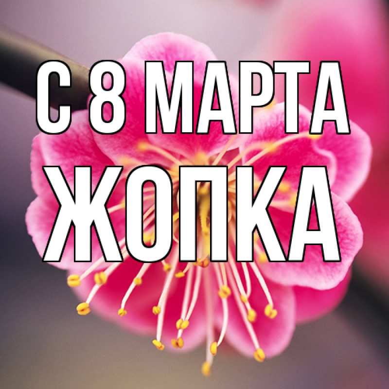 Картинка C 8 МАРТА, Жопка