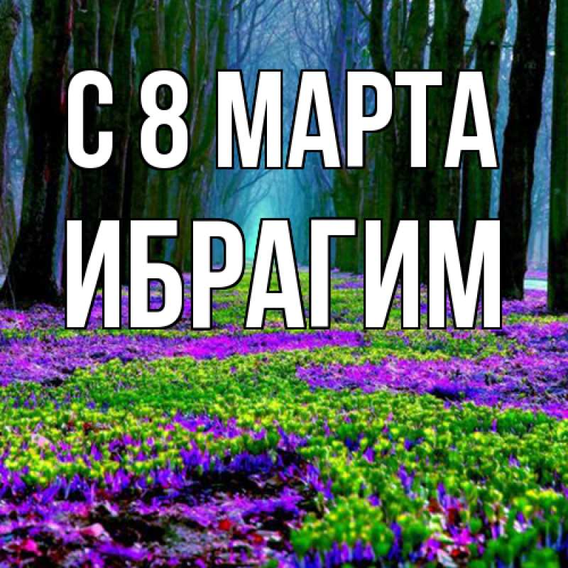 Картинка C 8 МАРТА, Ибрагим