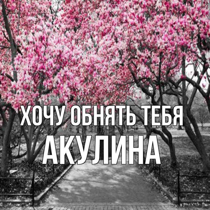 Картинка Хочу обнять тебя, Акулина