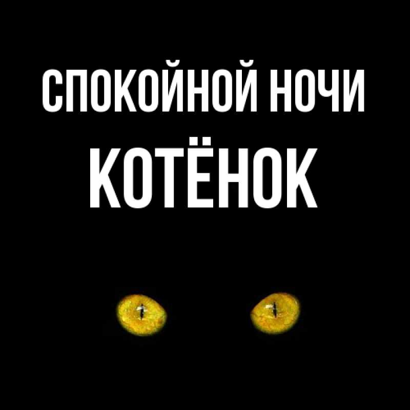 Картинка Спокойной ночи, Котёнок