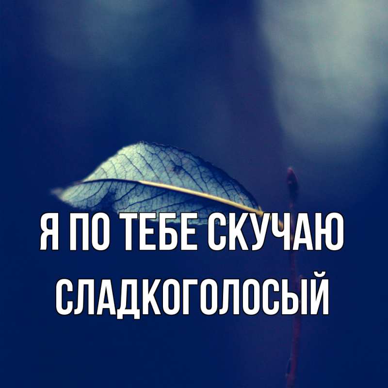 Картинка Я по тебе скучаю, Сладкоголосый