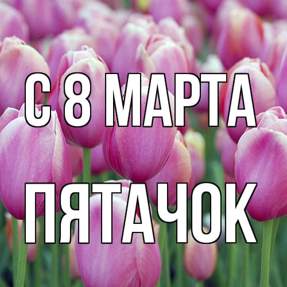 Открытка на каждый день с именем, Пятачок C 8 МАРТА на международный женский день 3 Прикольная открытка с пожеланием онлайн скачать бесплатно 