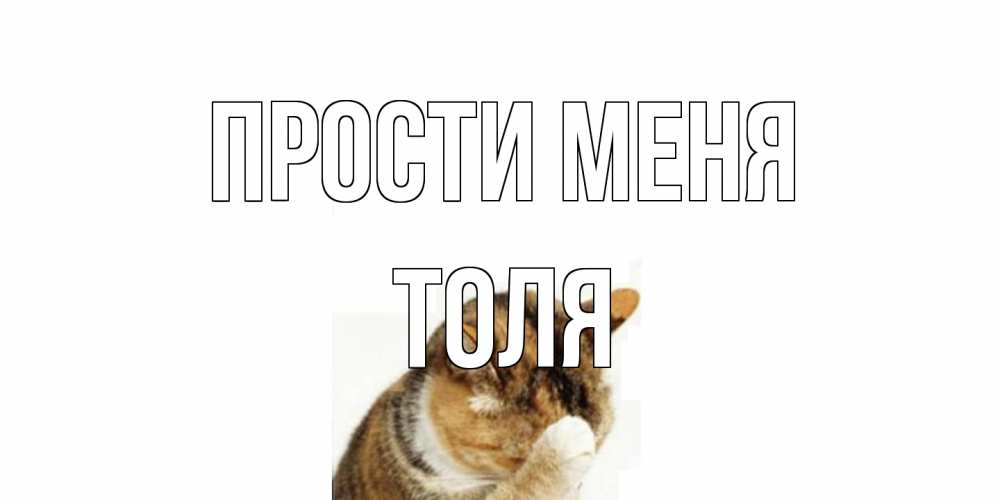 Открытка на каждый день с именем, Толя Прости меня кот Прикольная открытка с пожеланием онлайн скачать бесплатно 