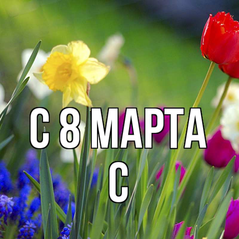 Картинка C 8 МАРТА, С