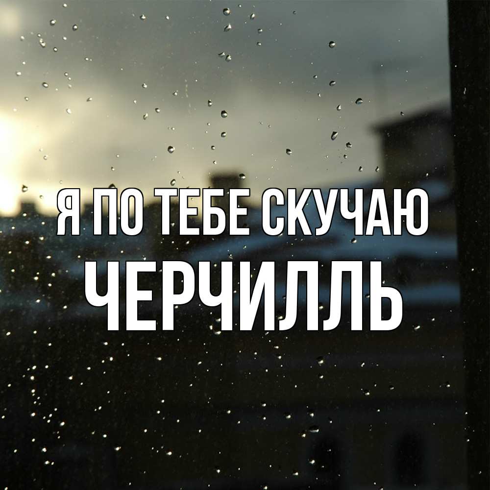 Открытка на каждый день с именем, Черчилль Я по тебе скучаю капли на стекле Прикольная открытка с пожеланием онлайн скачать бесплатно 