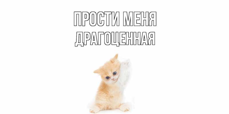 Картинка Прости меня, Драгоценная