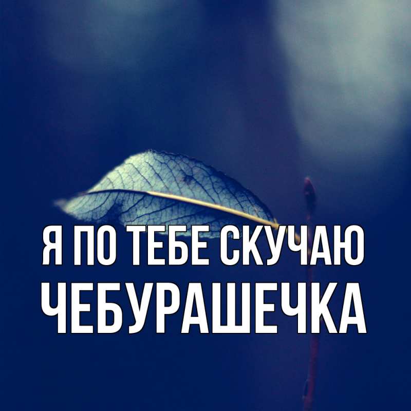 Картинка Я по тебе скучаю, Чебурашечка