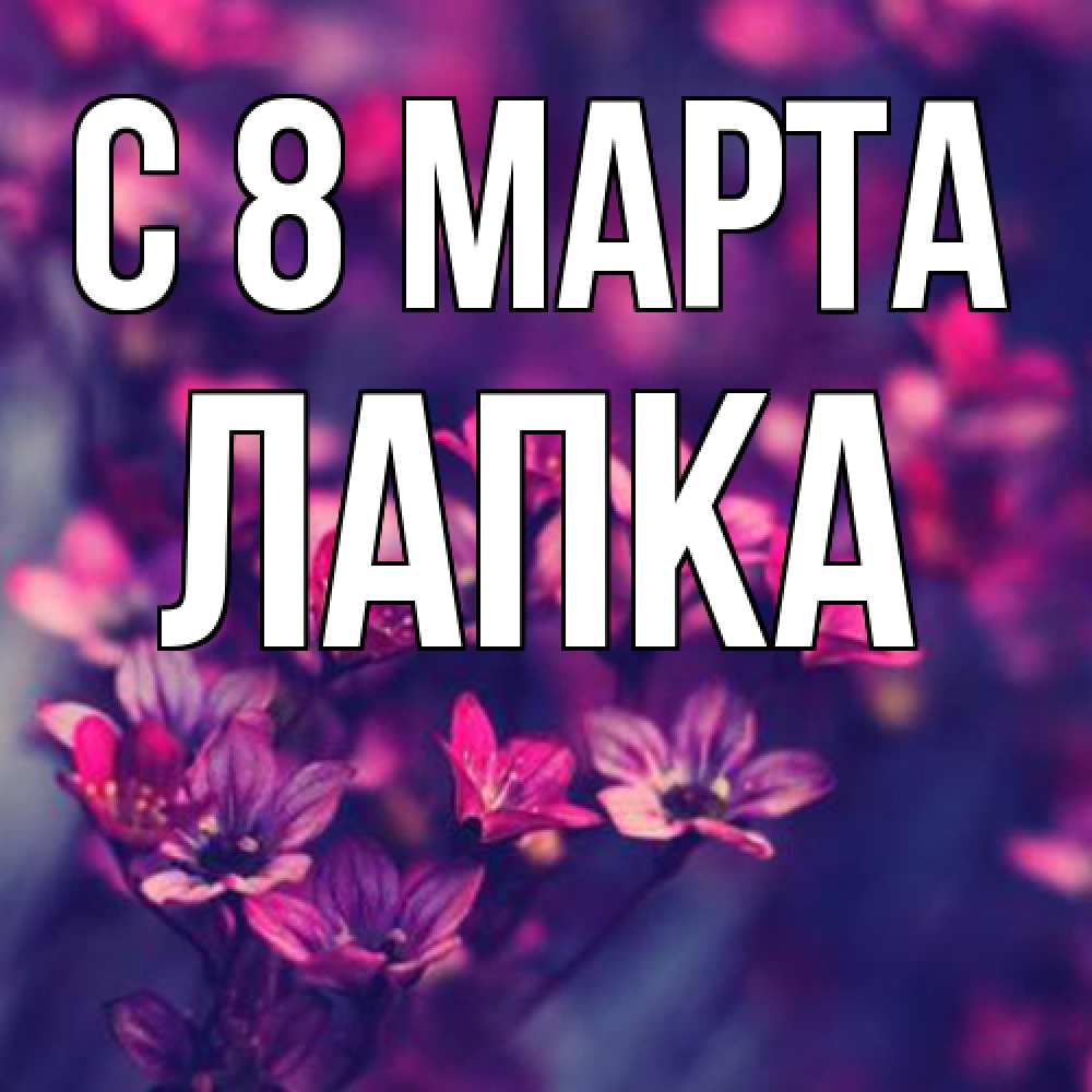 Открытка на каждый день с именем, лапка C 8 МАРТА небольшие цветы 1 Прикольная открытка с пожеланием онлайн скачать бесплатно 