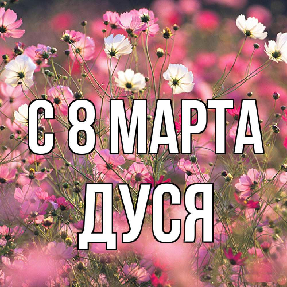 Открытка на каждый день с именем, Дуся C 8 МАРТА красиво 1 Прикольная открытка с пожеланием онлайн скачать бесплатно 
