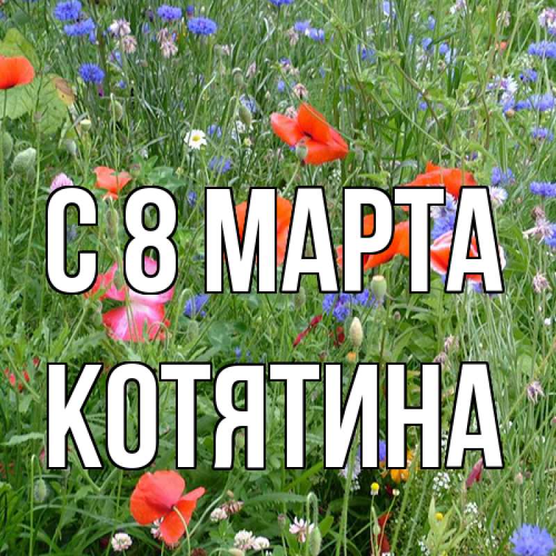 Картинка C 8 МАРТА, Котятина